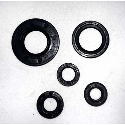 Kit De Retonedores De Motor YBR125